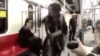 Iranian Woman Busts A Move, Hopes Not To Get Busted Herself