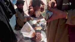 پر بندیز سربېره افغانستان کې د اپینو کاروبار روان دی