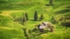 Ілюстративне фото
