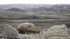 Разрушенный старый охотничий домик в Абайском районе Восточно-Казахстанской области. Иллюстративное фото.