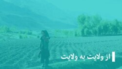 از ولایت به ولایت