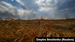 Фото від 17 липня 2022 року. Біля лінії фронту на адміністративній межі між Запорізькою і Донецькою областями внаслідок обстрілів загорілося пшеничне поле