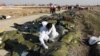Iran Allocates $150,000 For Families Of Each Victim Of Ukrainian Plane Crash