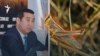 Ведомство Айдарбека Сапарова написало заявление на агроблогера Кирилла Павлова