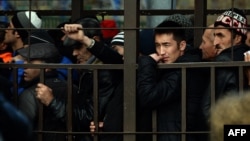 Migrant workers line up in a fenced holding area outside a Federal Migration Service office in Moscow as they wait for their turn to get a work permit.