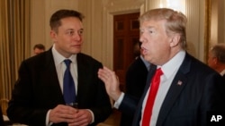 Дональд Трамп ва Илон Маск (архив сурати)