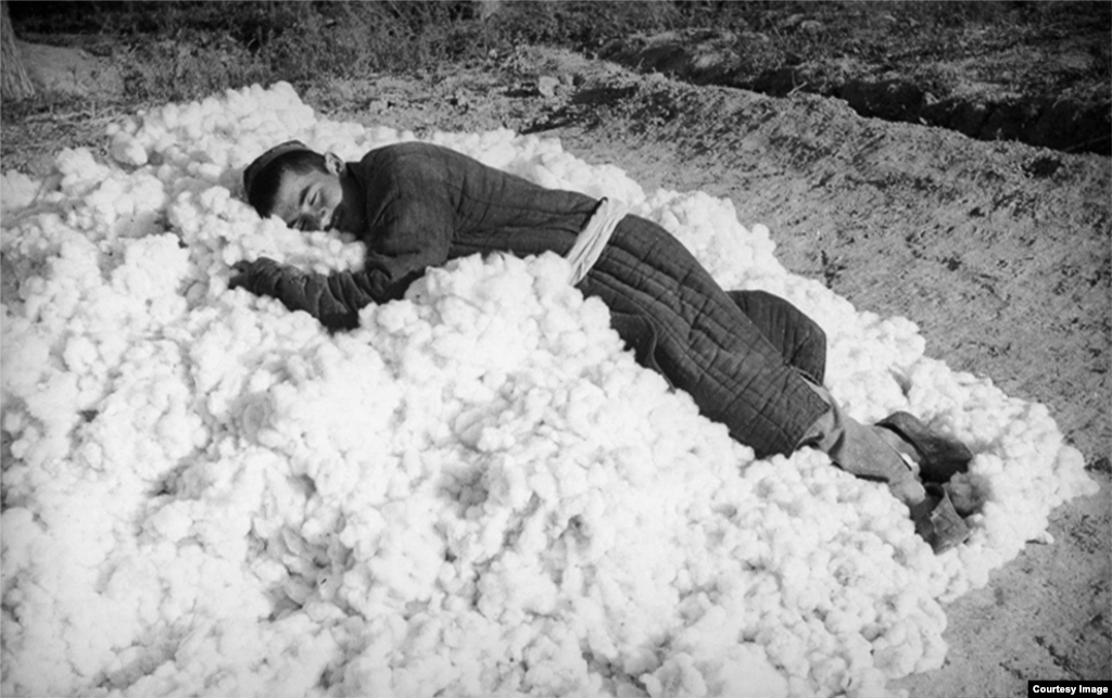 A worker rests on freshly picked cotton lint. Penson also focused his lens on the cotton industry in Soviet Uzbekistan. The republic provided 70 percent of all cotton used in the U.S.S.R.