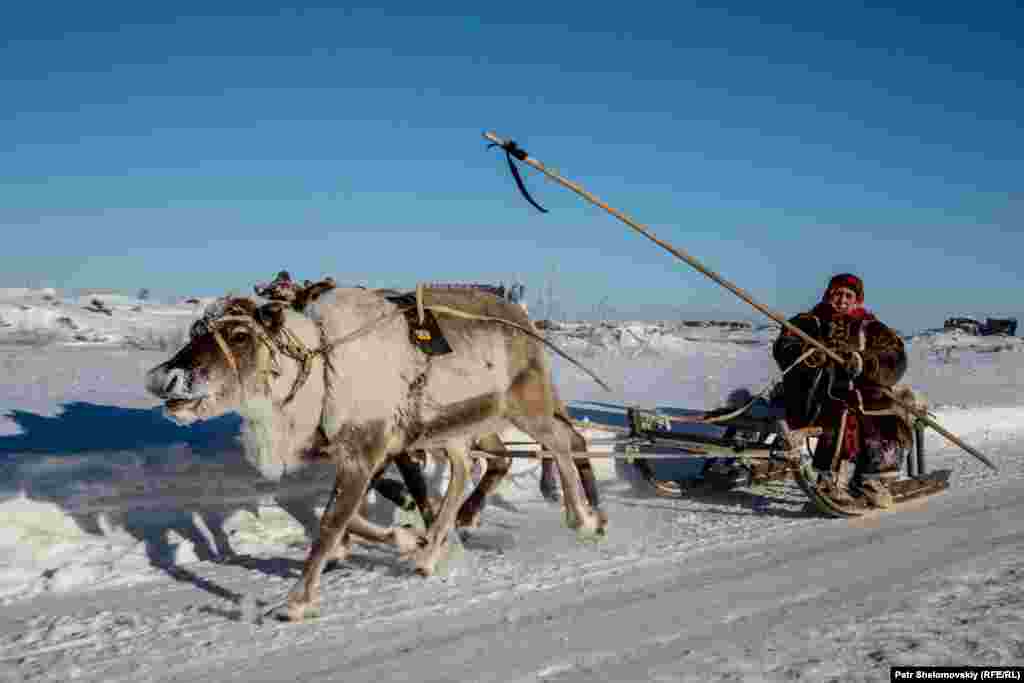 A Tundra native travels to Vorkuta's main square to give paid sledge rides to local children. 