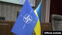 «У випадку референдуму щодо вступу до НАТО 59,2% серед усіх респондентів проголосували б «за», 28,1% – «проти»