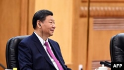 Chinese President Xi Jinping in an official handout photo from January 2024